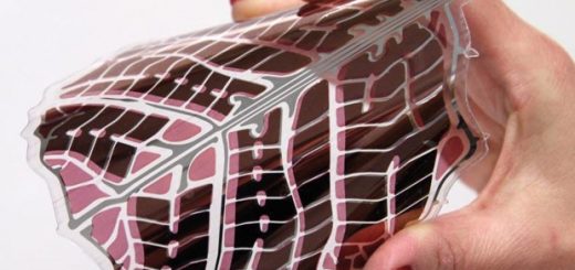 کاغذ دیواری خورشیدی