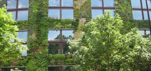 ساختمان سبز