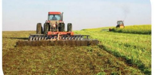 کشاورزی ارگانیک