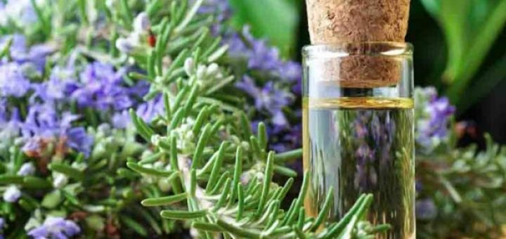 روغن رزماری بسوزانید