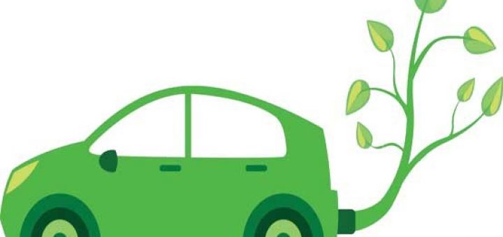 سوخت‌های گیاهی