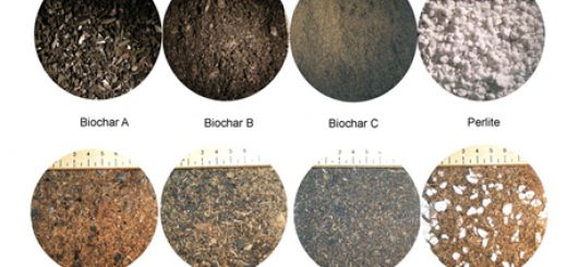 طبقه بندی خاک