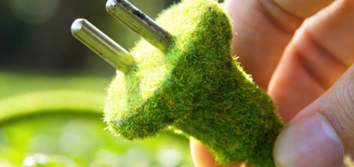 تولید برق از گیاهان زنده