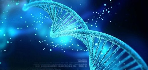 ژن مؤثر بر میزان هوش افراد