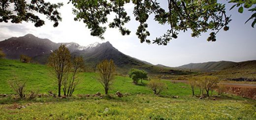 طبیعت بهاری اورامانات