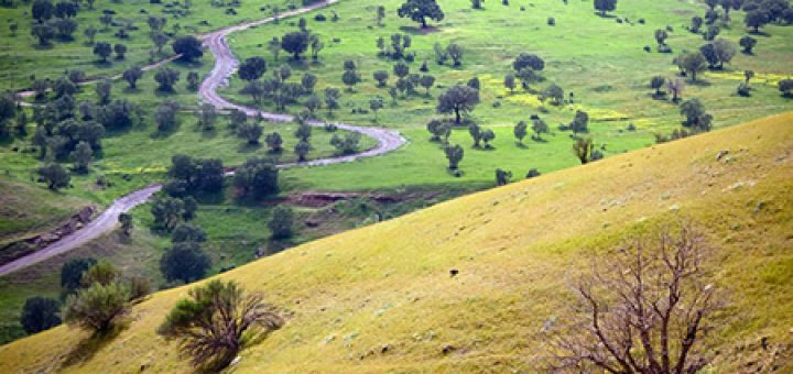 طبیعت بهاری اورامانات