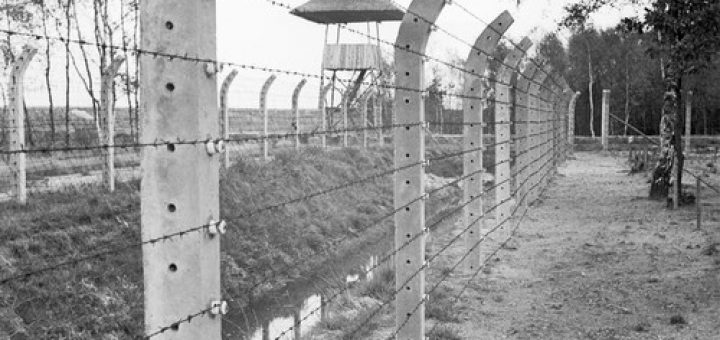 داستان واقعی “عشق در جنگ”