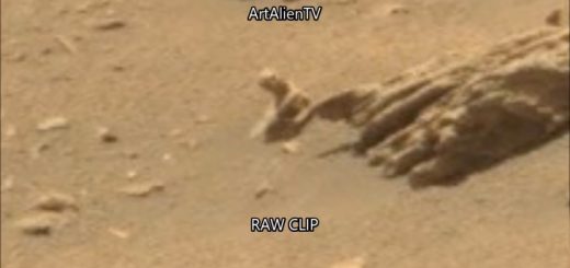 جانوری خزنده در مریخ