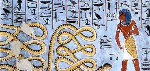 تهاجم بیگانگان