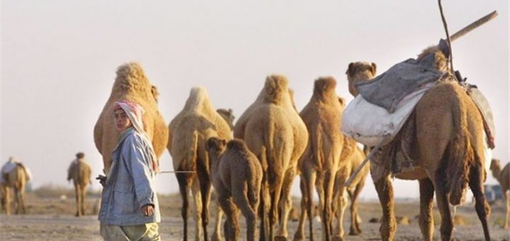 داستان کوتاه بادیه نشینان