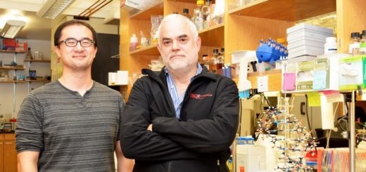 دستکاری فرایند حیات