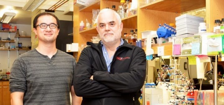 دستکاری فرایند حیات