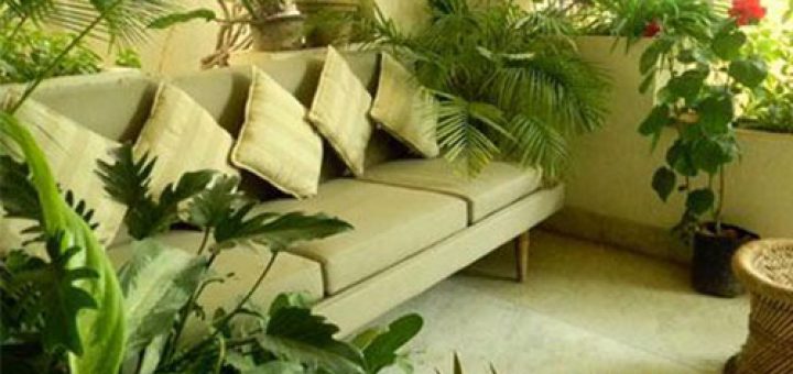 آبیاری گیاهان آپارتمانی