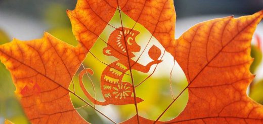 شخصیت کلی متولدین سال ميمون