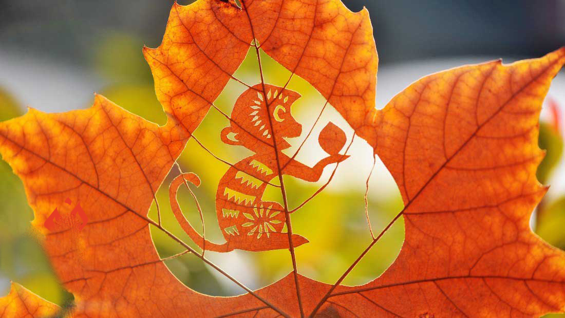 شخصیت کلی متولدین سال میمون