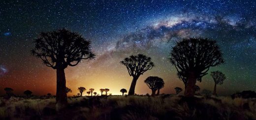 راه‌شیری تابستانی برفراز عجیب‌ترین درختان آفریقا