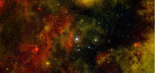 خوشه نارنجی ستاره‌های نوزاد