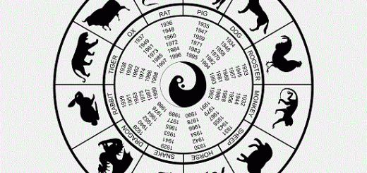 سال ها و حیوانات