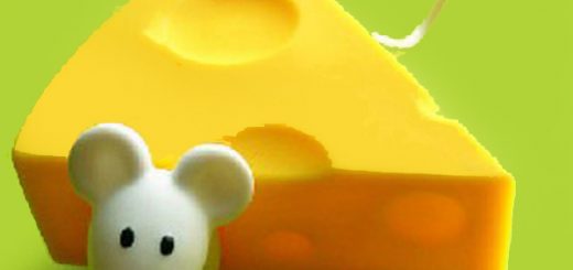 طالــع بینـی پنیــری