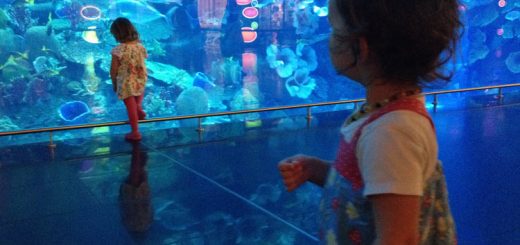 راهنمای سفر به دبی