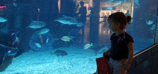 راهنمای سفر به دبی