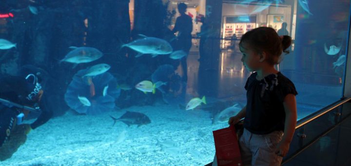 راهنمای سفر به دبی