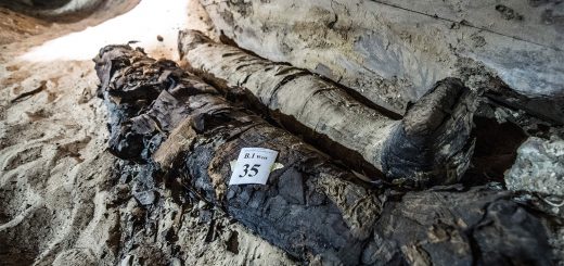 اجساد مومیایی در گورستان های زیرزمینی مصر