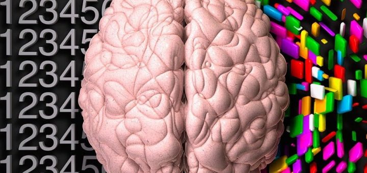 سخنراني با هر دو نيمكره مغز