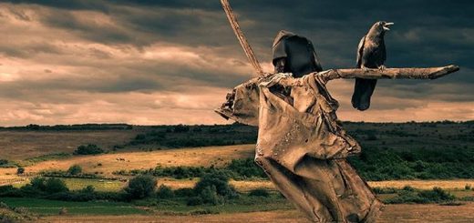 چوب در آستین کردن