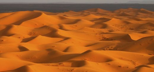 معمای ریاضی: عبور از بیابان سوزان!