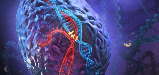 ژن های سرطانی