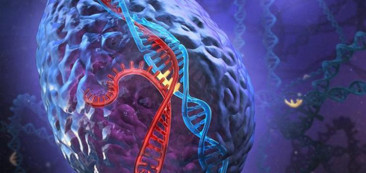 ژن های سرطانی