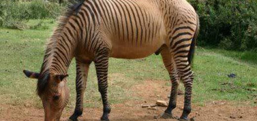 معما های جالب با جواب