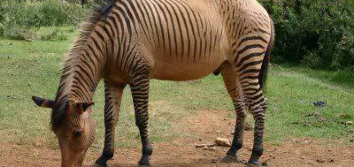 معما های جالب با جواب