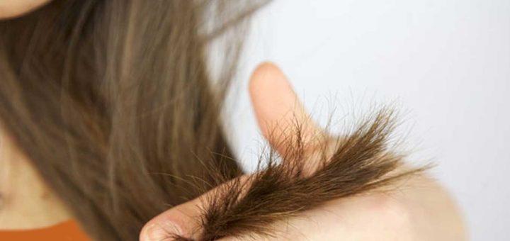 مقابله با موخوره