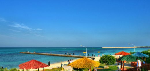 زندگی در کیش