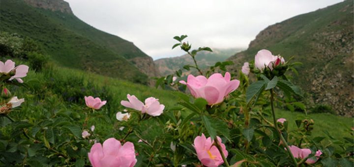 شهرستان مرند