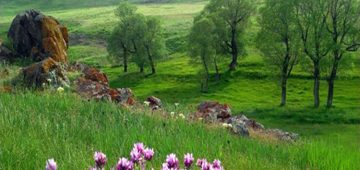 سفر به شهرستان سراب