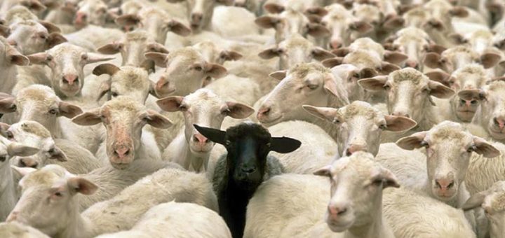 چطور اوریجینال باشیم؟