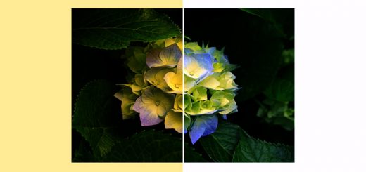 مشکل زرد نشان دادن تصاویر در ویندوز ۷ و ۸