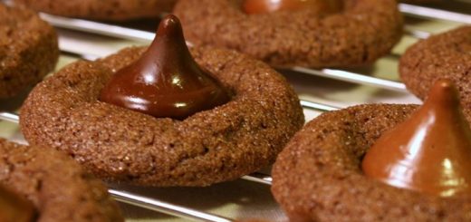 بیسکویت شکلاتی کاکائویی