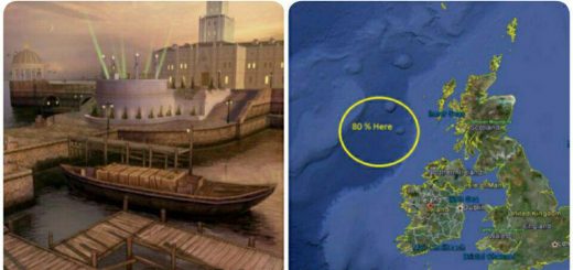 جنگل رندلشام