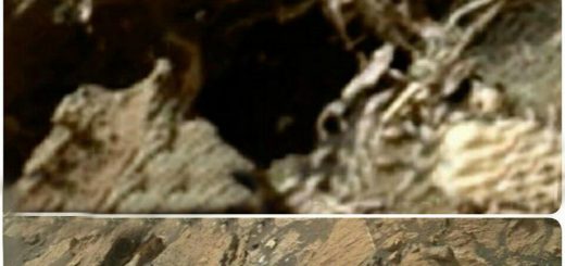 کشف اسکلت در مریخ