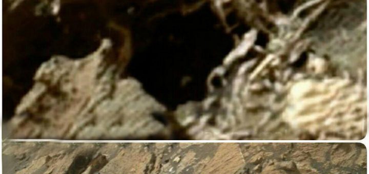 کشف اسکلت در مریخ