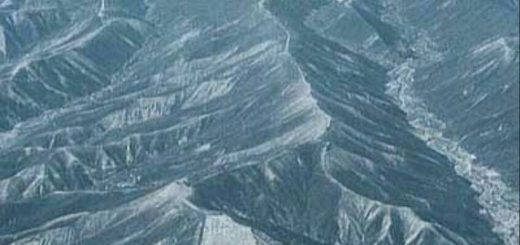 پالپا در دشت های نازکا