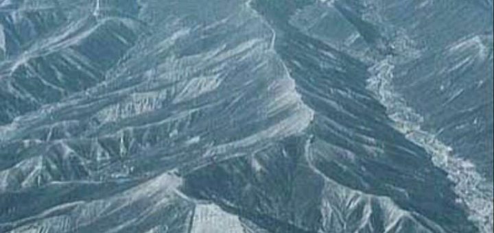 پالپا در دشت های نازکا