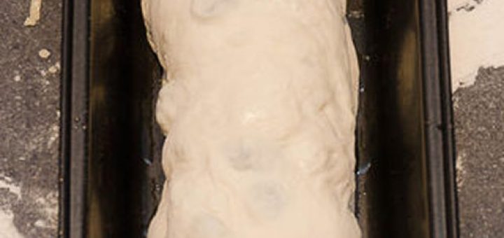 پاناکوتای لیمو و توت فرنگی