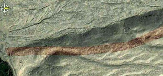 نوار قهوه ای در پرو