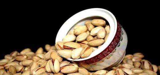 روش کاشت پسته