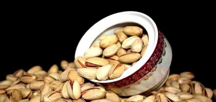 روش کاشت پسته